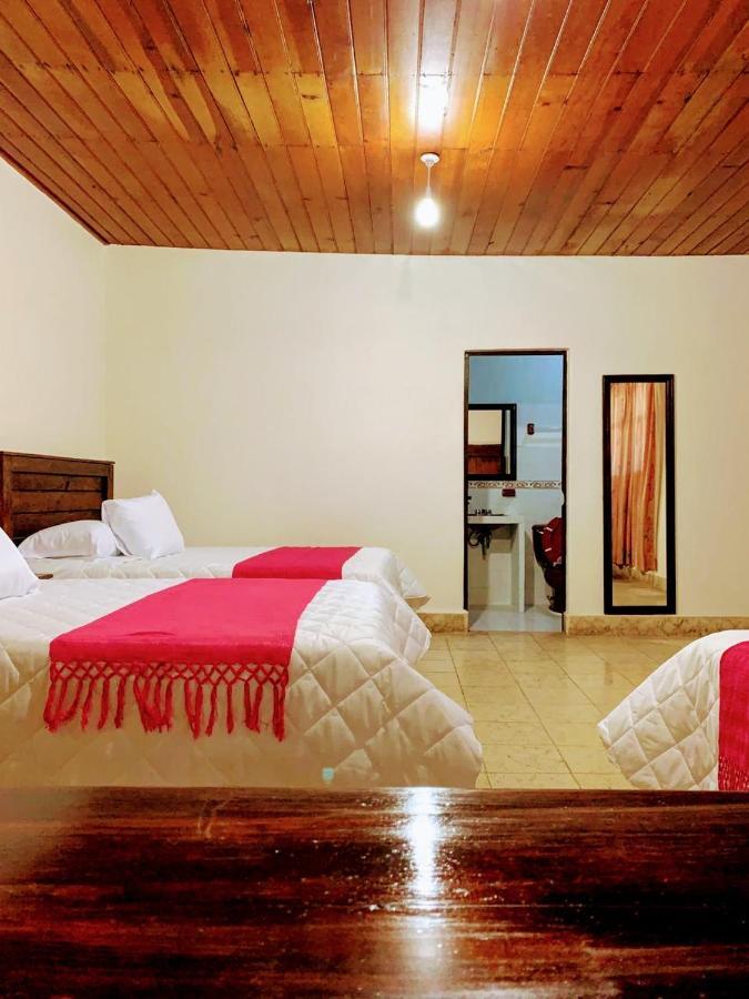 Hotel Casa D'Lina Centro San Cristóbal de Las Casas エクステリア 写真