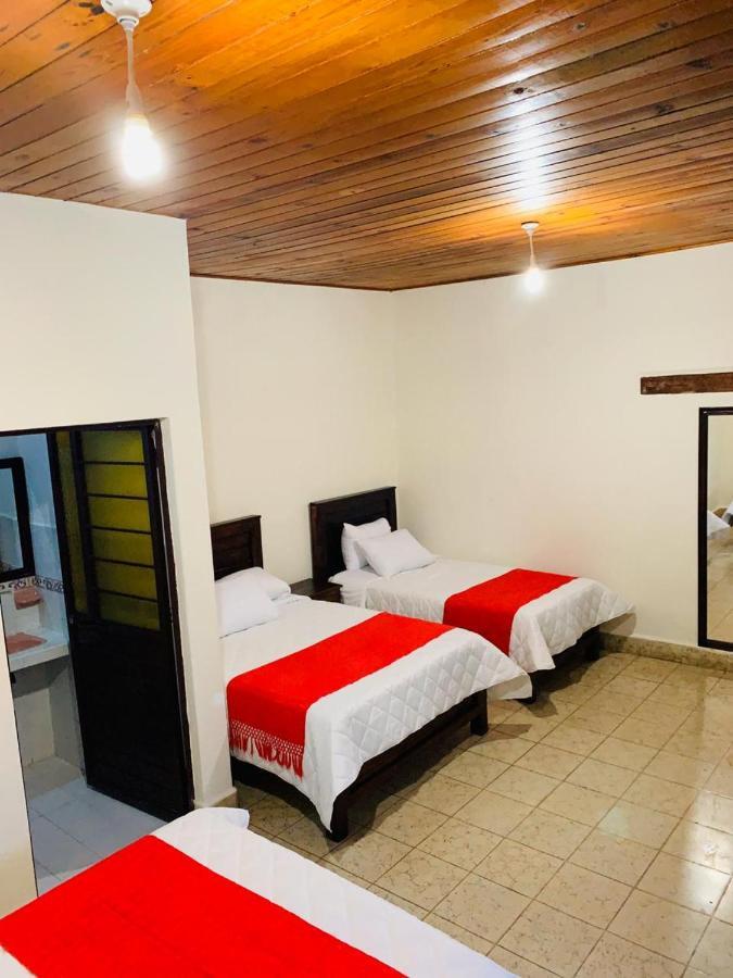 Hotel Casa D'Lina Centro San Cristóbal de Las Casas エクステリア 写真